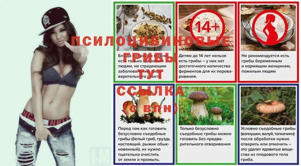 спиды Абаза