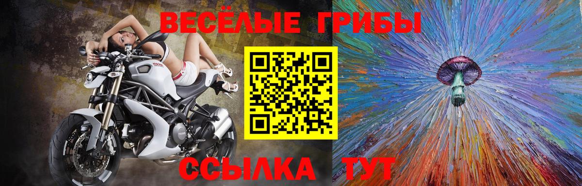 Галлюциногенные грибы мицелий  Вход с VPN  Черемхово  Галлюциногенные грибы Psilocybe 